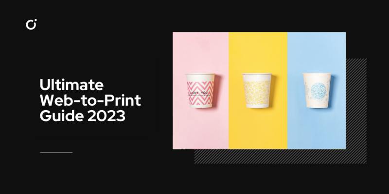 Post cover: Web to Print Guide 2024